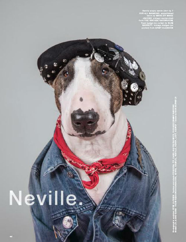 At Home with Marc Jacobs and Neville, His Insta-Famous Bull Terrier