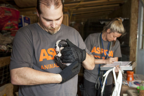 ASPCA Raid Alabama 8