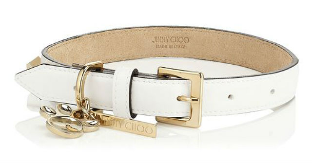 jimmy choo collar