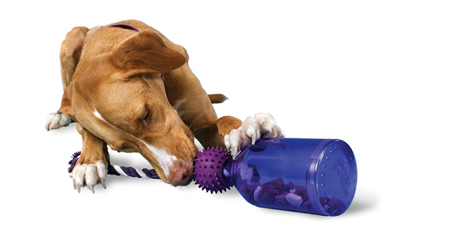 petsafe tug a jug