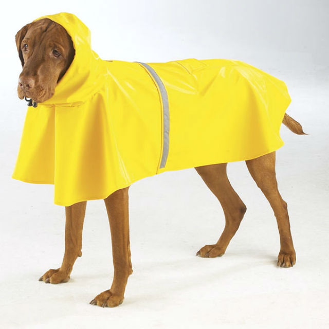 rain-jacket-with-reflective-strip-yellow-2 resized