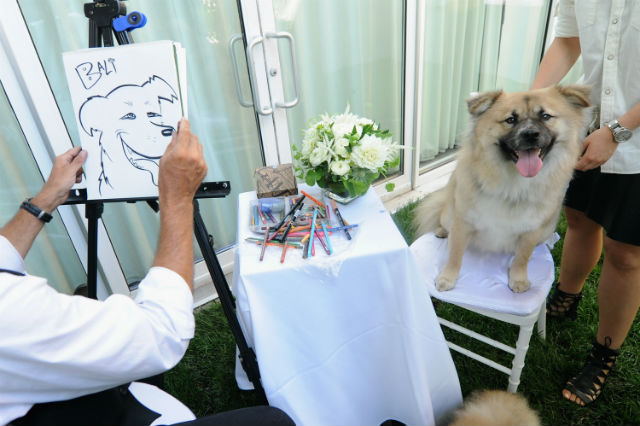 A pup posing for a caricature.