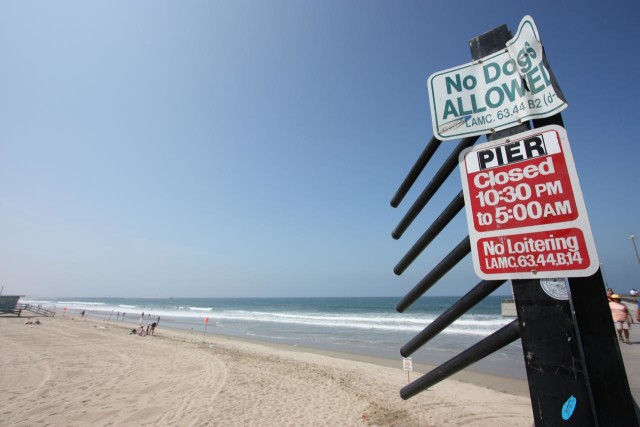 The Only Beach That Requires People to Have a Dog – This Dog's Life ...