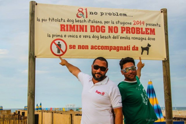 Rimini Dog No Problem