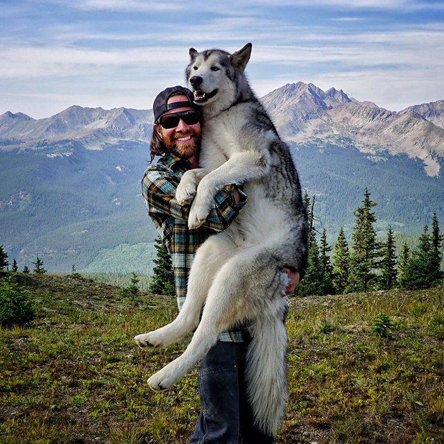 loki and wolfdog