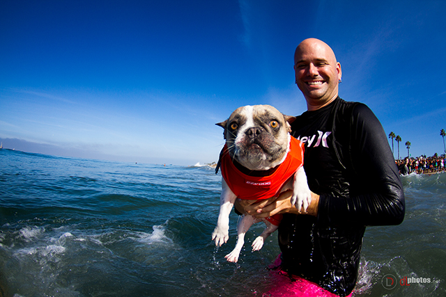 SurfCitySurfDog2015-14-2 resized