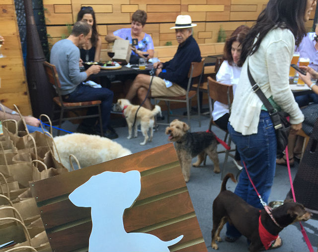 Yappy Hour. Image via Healthy Spot